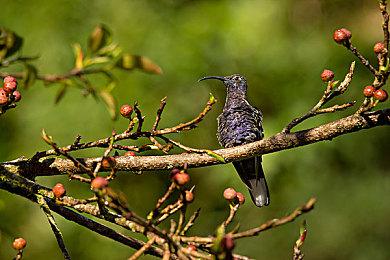 《寻找伪人》销量突破50万 作者公布后续更新计划